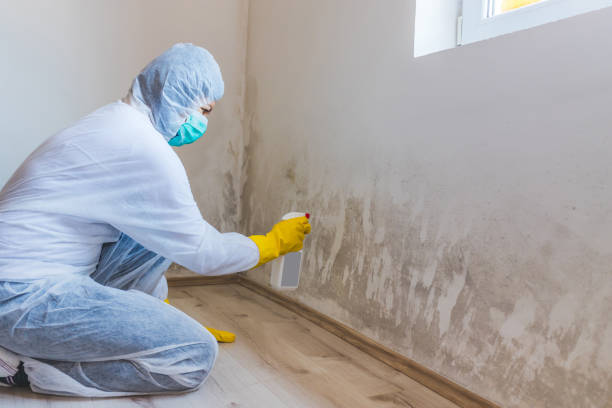 Licensed Crawl Space Mold Removal service in Massachusetts, MA - WQB Mold Removal