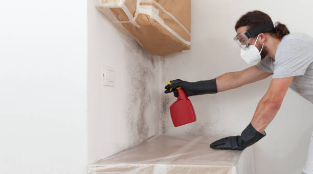Professional Crawl Space Mold Removal technician working in Massachusetts, MA