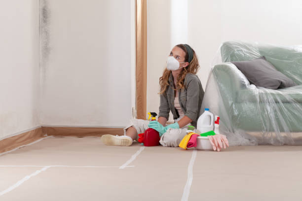 Reliable Crawl Space Mold Removal contractor in Massachusetts, MA by WQB Mold Removal